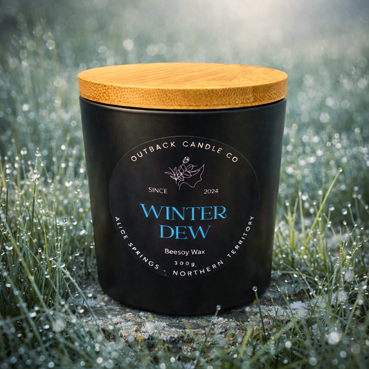 Winter Dew 300g Beesoy Candle